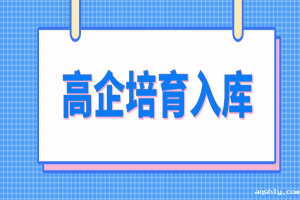 惠州市2022年高新技术企业培育入库工作