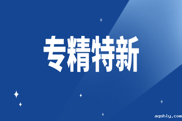 广东省深化支持专精特新企业融资服务行动计划