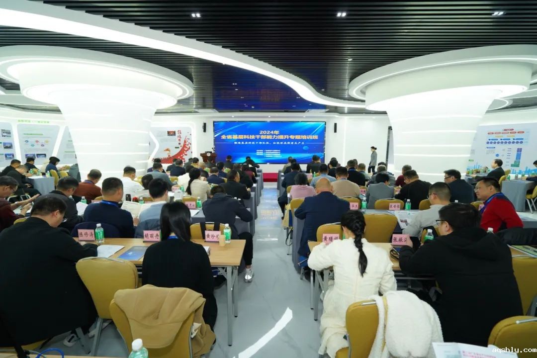 【喜讯】点点网页版登录入口荣获“2024年度广东省生产力促进奖二等奖”