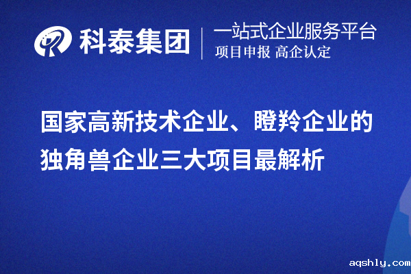 国家高新技术企业、瞪羚企业的独角兽企业三大项目最解析