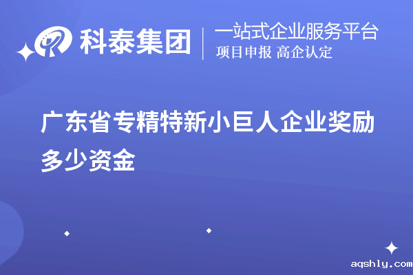 广东省专精特新小巨人企业奖励多少资金