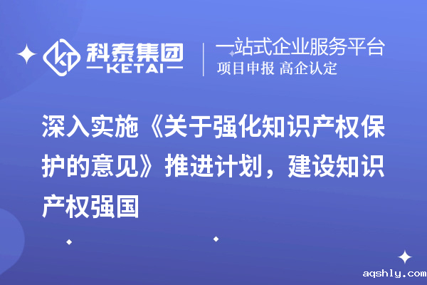 深入实施《关于强化知识产权保护的意见》推进计划,建设知识产权强国