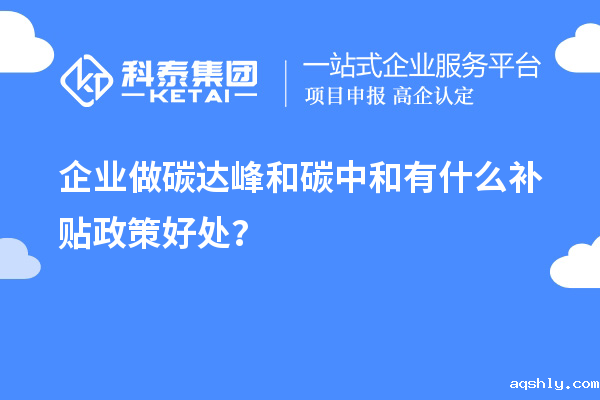 企业做碳达峰和碳中和有什么补贴政策好处?