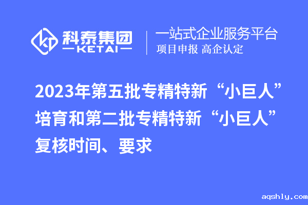 2023年第五批专精特新“小巨人”培育和第二批专精特新“小巨人”复核时间、要求