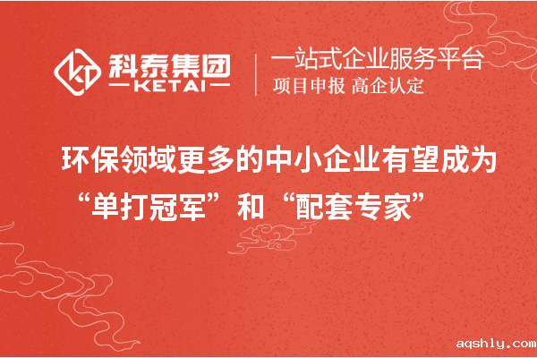 环保领域更多的中小企业有望成为“单打冠军”和“配套专家”