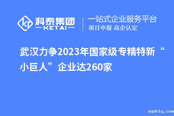 武汉力争2023年国家级专精特新“小巨人”企业达260家