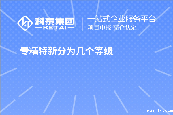 专精特新分为几个等级