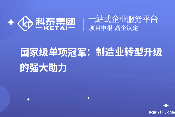 国家级单项冠军:制造业转型升级的强大助力