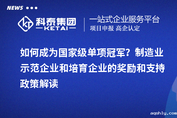 如何成为国家级单项冠军?制造业示范企业和培育企业的奖励和支持政策解读