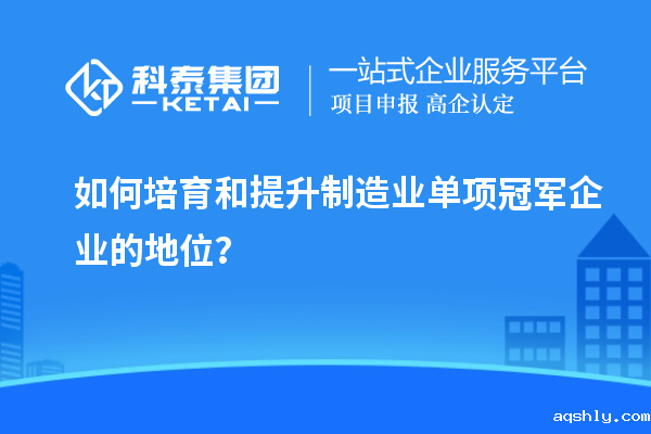 如何培育和提升制造业单项冠军企业的地位?