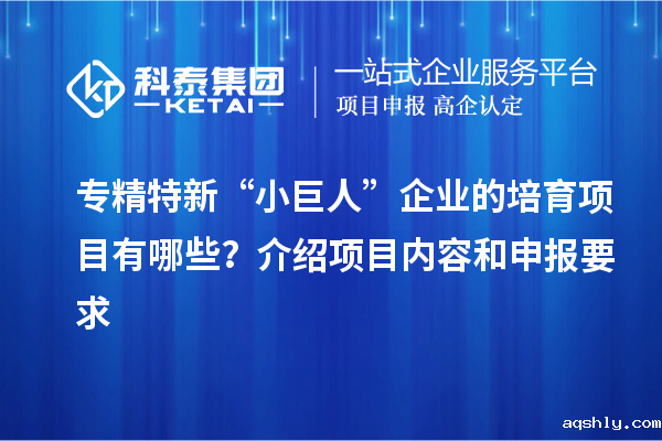 专精特新“小巨人”企业的培育项目有哪些?介绍项目内容和申报要求