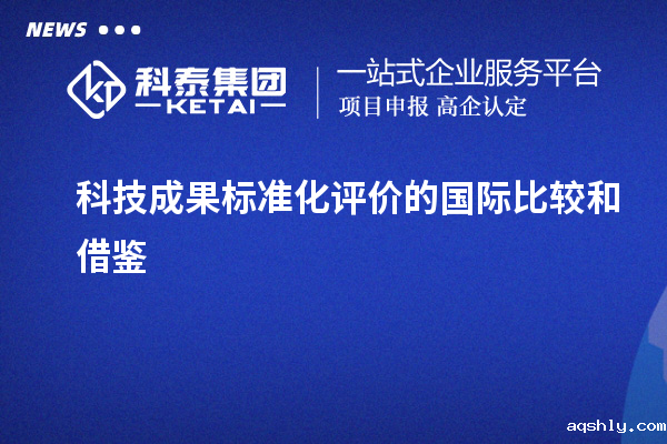 科技成果标准化评价的国际比较和借鉴