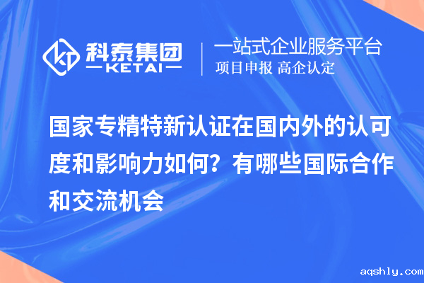 国家专精特新认证在国内外的认可度和影响力如何?有哪些国际合作和交流机会
