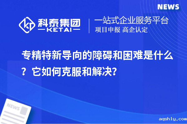 专精特新导向的障碍和困难是什么?它如何克服和解决?