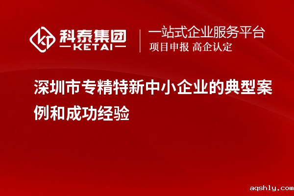 深圳市专精特新中小企业的典型案例和成功经验