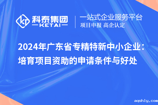 2024年广东省<a href=//www.aqshly.com/fuwu/zhuanjingtexin.html target=_blank class=infotextkey>专精特新中小企业</a>:培育项目资助的申请条件与好处