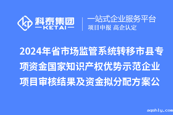 2024年省市场监管系统转移市县专项资金国家知识产权优势示范企业项目审核结果及资金拟分配方案公示