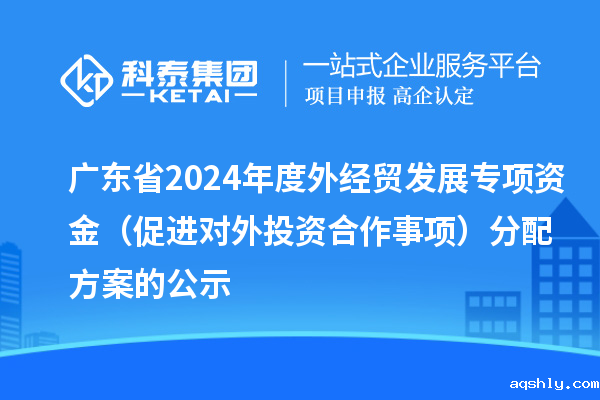 广东省2024年度外经贸发展专项资金(促进对外投资合作事项)分配方案的公示