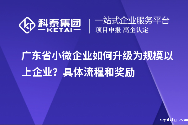 广东省小微企业如何升级为规模以上企业?具体流程和奖励