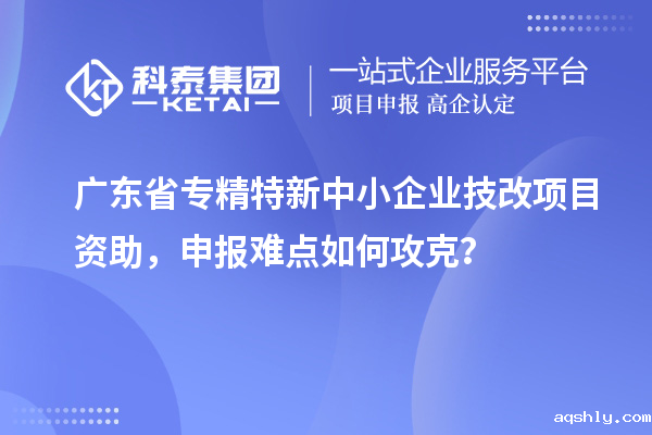 广东省专精特新中小企业技改项目资助,申报难点如何攻克?