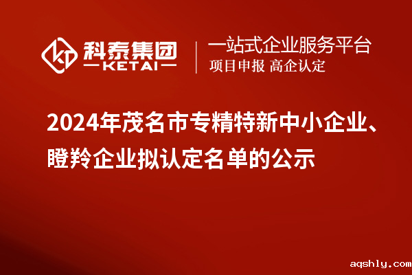 2024年茂名市专精特新中小企业、瞪羚企业拟认定名单的公示