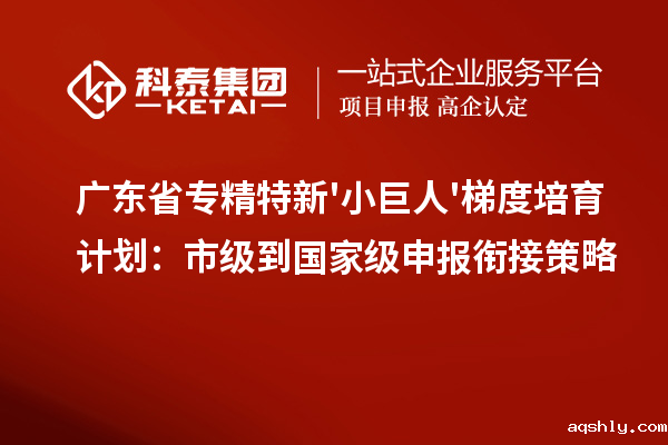 广东省专精特新'小巨人'梯度培育计划:市级到国家级申报衔接策略