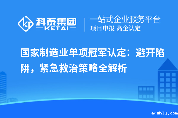国家制造业单项冠军认定:避开陷阱,紧急救治策略全解析