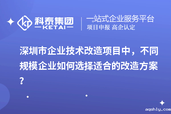深圳市企业技术改造项目中,不同规模企业如何选择适合的改造方案?