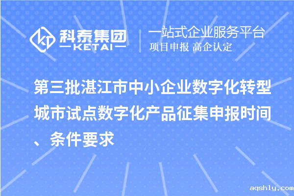 第三批湛江市中小企业数字化转型城市试点数字化产品征集申报时间、条件要求