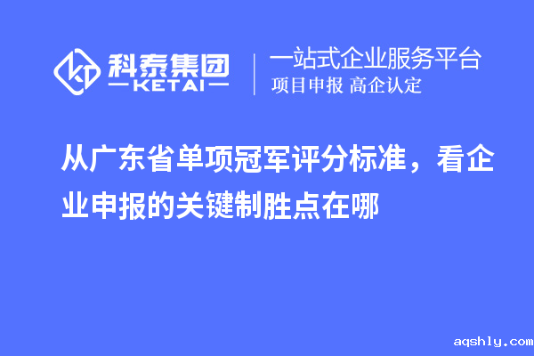 从广东省单项冠军评分标准,看企业申报的关键制胜点在哪