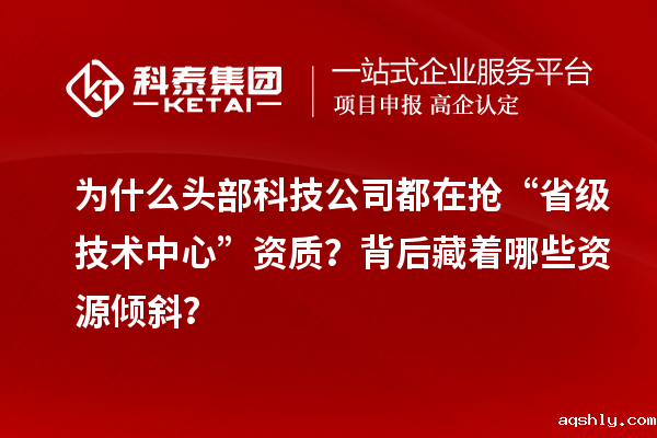 为什么头部科技公司都在抢“省级技术中心”资质?背后藏着哪些资源倾斜?