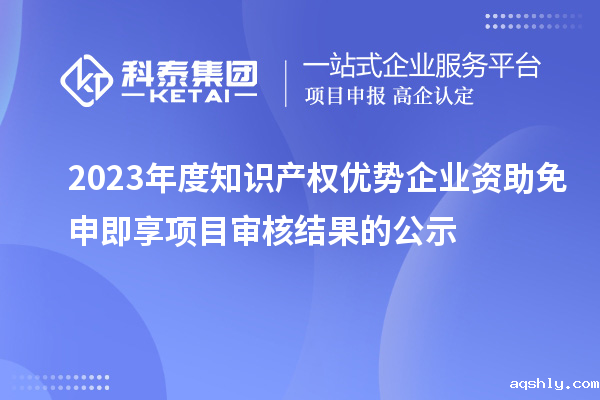 2023年度知识产权优势企业资助免申即享项目审核结果的公示