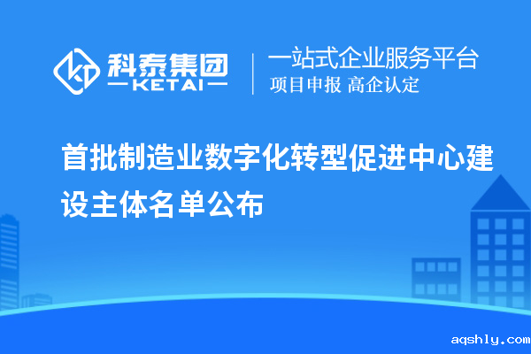 首批制造业数字化转型促进中心建设主体名单公布