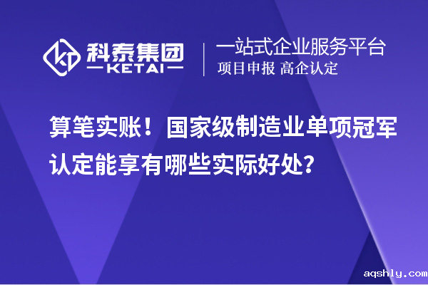 算笔实账!国家级制造业单项冠军认定能享有哪些实际好处?