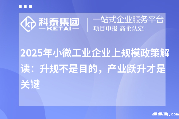 2025年小微工业企业上规模政策解读:升规不是目的,产业跃升才是关键