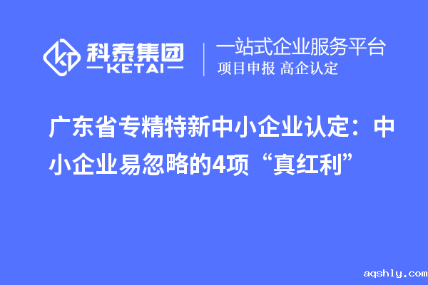 广东省专精特新中小企业认定:中小企业易忽略的4项“真红利”