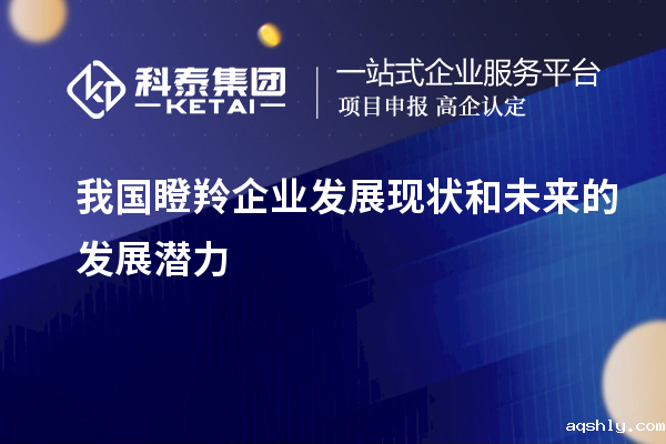我国瞪羚企业发展现状和未来的发展潜力