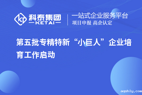 第五批专精特新“小巨人”企业培育工作启动