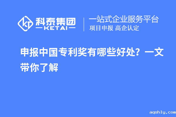 申报中国专利奖有哪些好处？一文带你了解