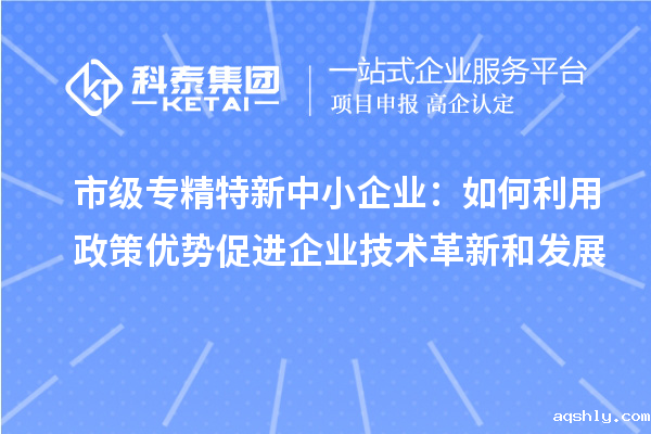 市级专精特新中小企业：如何利用政策优势促进企业技术革新和发展