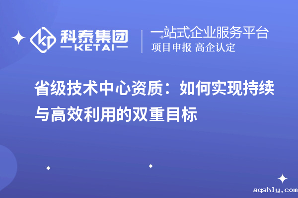 省级技术中心资质：如何实现持续与高效利用的双重目标