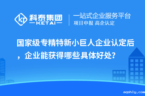 国家级专精特新小巨人企业认定后，企业能获得哪些具体好处？