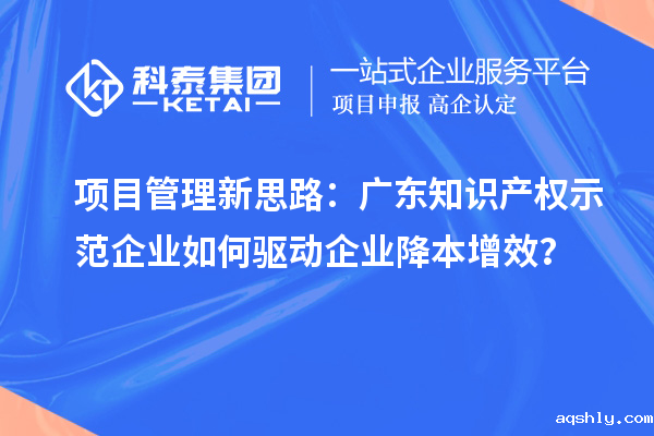 项目管理新思路：广东知识产权示范企业如何驱动企业降本增效？