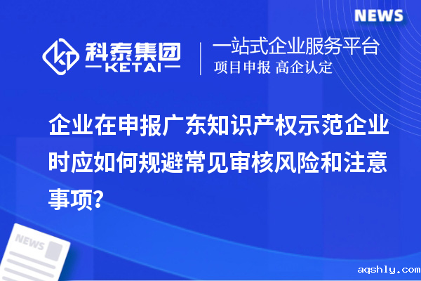 企业在申报广东知识产权示范企业时应如何规避常见审核风险和注意事项？