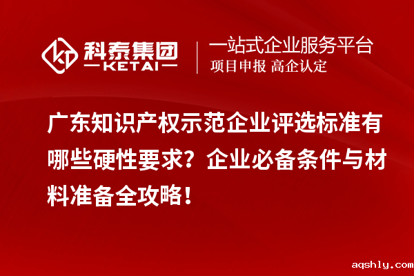 广东知识产权示范企业评选标准有哪些硬性要求？企业必备条件与材料准备全攻略！