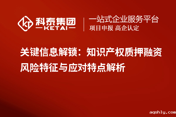 关键信息解锁：知识产权质押融资风险特征与应对特点解析