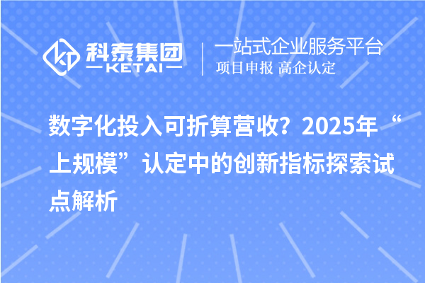 数字化投入可折算营收？2025年“上规模”认定中的创新指标探索试点解析