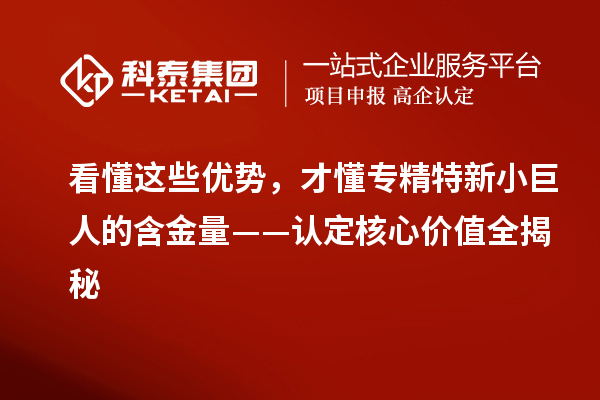 看懂这些优势，才懂专精特新小巨人的含金量——认定核心价值全揭秘