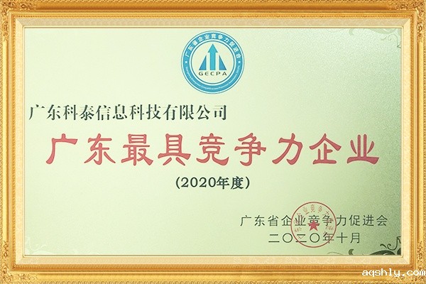广东最具竞争力企业